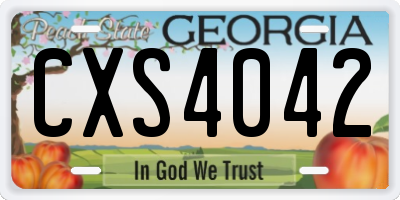 GA license plate CXS4042