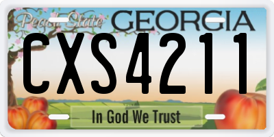 GA license plate CXS4211