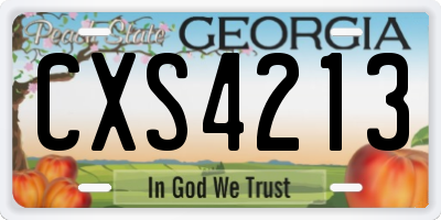 GA license plate CXS4213