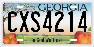 GA license plate CXS4214