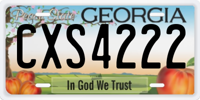 GA license plate CXS4222