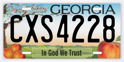 GA license plate CXS4228