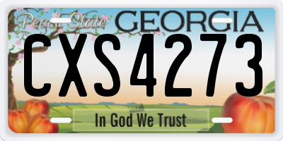 GA license plate CXS4273
