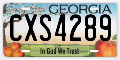 GA license plate CXS4289