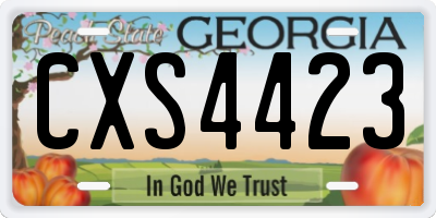 GA license plate CXS4423