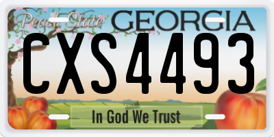 GA license plate CXS4493
