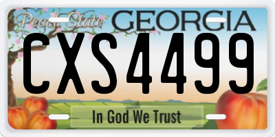 GA license plate CXS4499