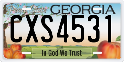 GA license plate CXS4531