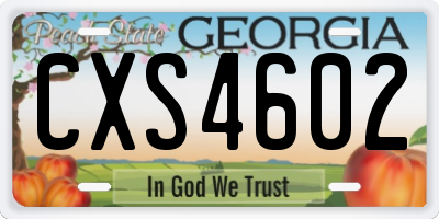GA license plate CXS4602