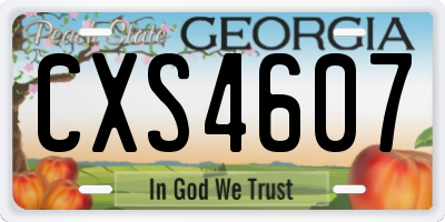 GA license plate CXS4607