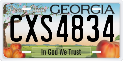 GA license plate CXS4834