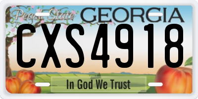 GA license plate CXS4918