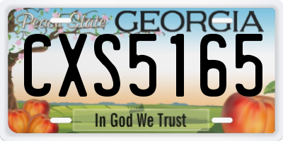 GA license plate CXS5165