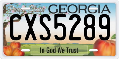 GA license plate CXS5289