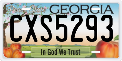 GA license plate CXS5293