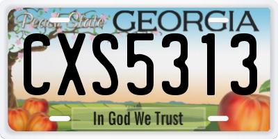 GA license plate CXS5313