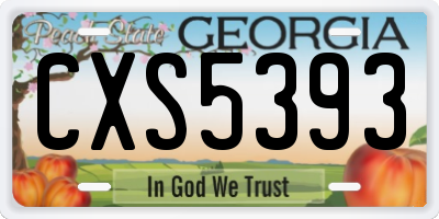 GA license plate CXS5393