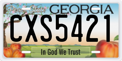 GA license plate CXS5421