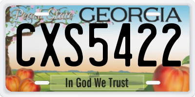 GA license plate CXS5422