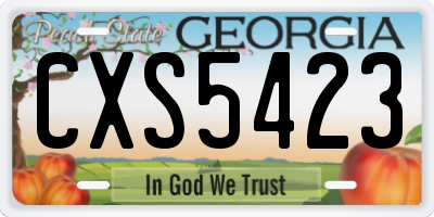 GA license plate CXS5423