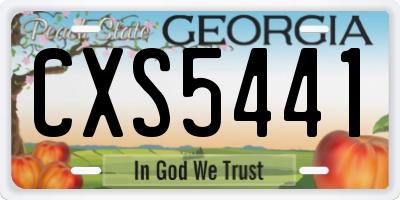 GA license plate CXS5441