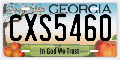 GA license plate CXS5460