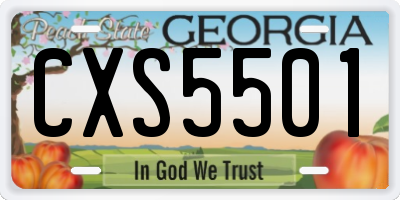 GA license plate CXS5501
