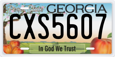 GA license plate CXS5607