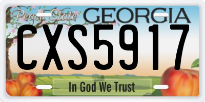 GA license plate CXS5917