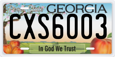 GA license plate CXS6003