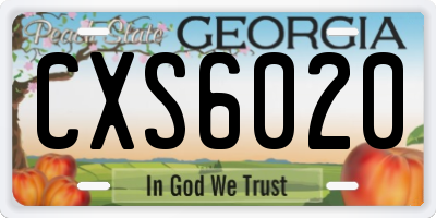 GA license plate CXS6020