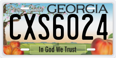 GA license plate CXS6024