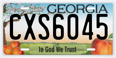 GA license plate CXS6045