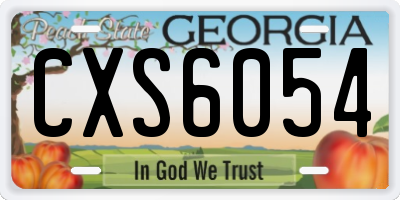 GA license plate CXS6054