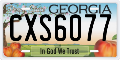 GA license plate CXS6077
