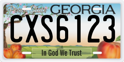 GA license plate CXS6123