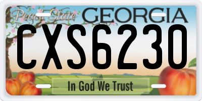 GA license plate CXS6230