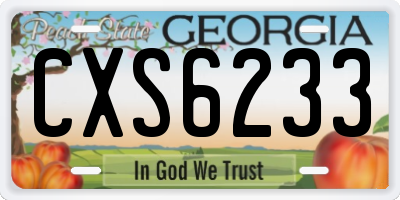 GA license plate CXS6233