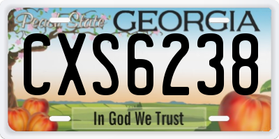 GA license plate CXS6238