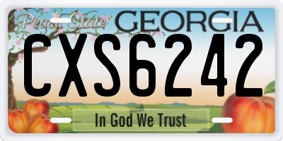 GA license plate CXS6242