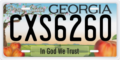GA license plate CXS6260