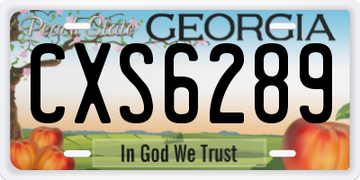 GA license plate CXS6289