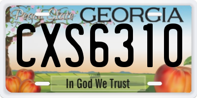 GA license plate CXS6310