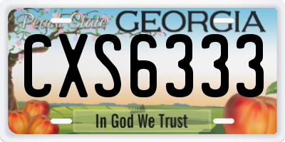 GA license plate CXS6333