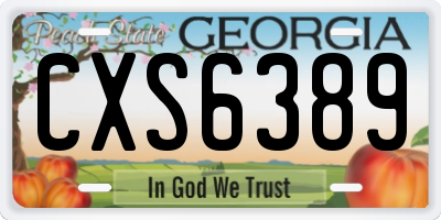 GA license plate CXS6389