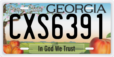 GA license plate CXS6391