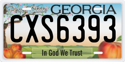 GA license plate CXS6393