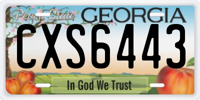 GA license plate CXS6443