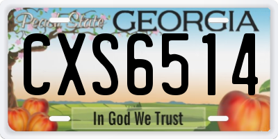 GA license plate CXS6514