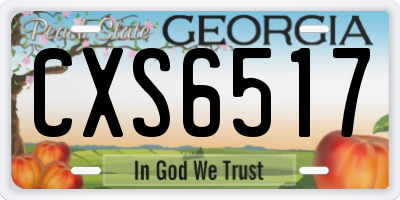 GA license plate CXS6517